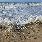 In Belgium With Stunning Sea View *