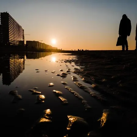 Apartamento In Belgium With Stunning Sea View Ostende