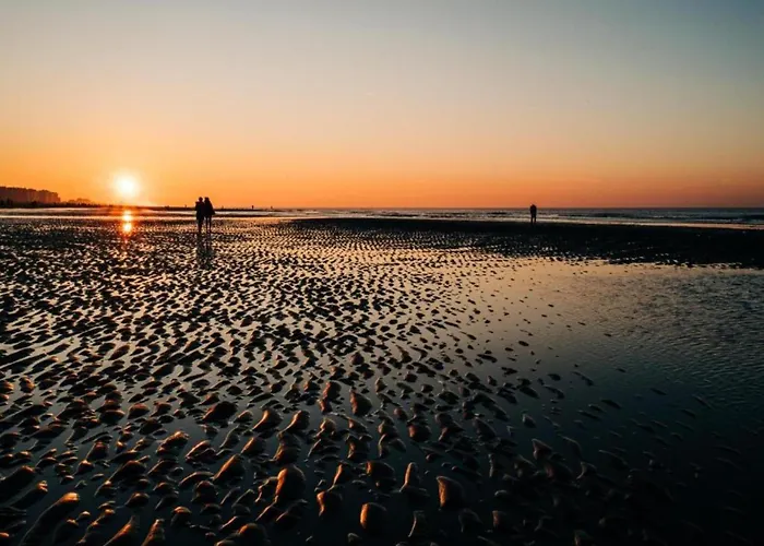 Appartement In Belgium With Stunning Sea View *