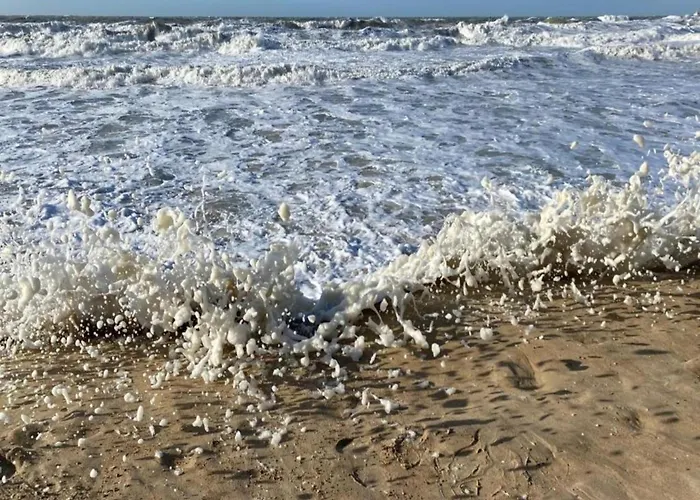 In Belgium With Stunning Sea View *